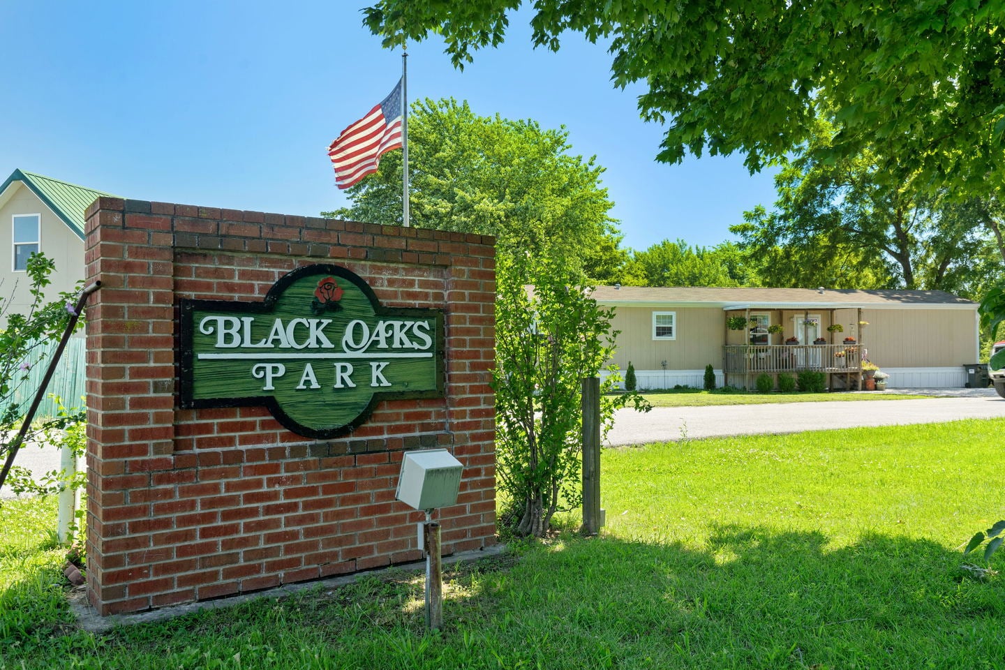 Black Oaks
