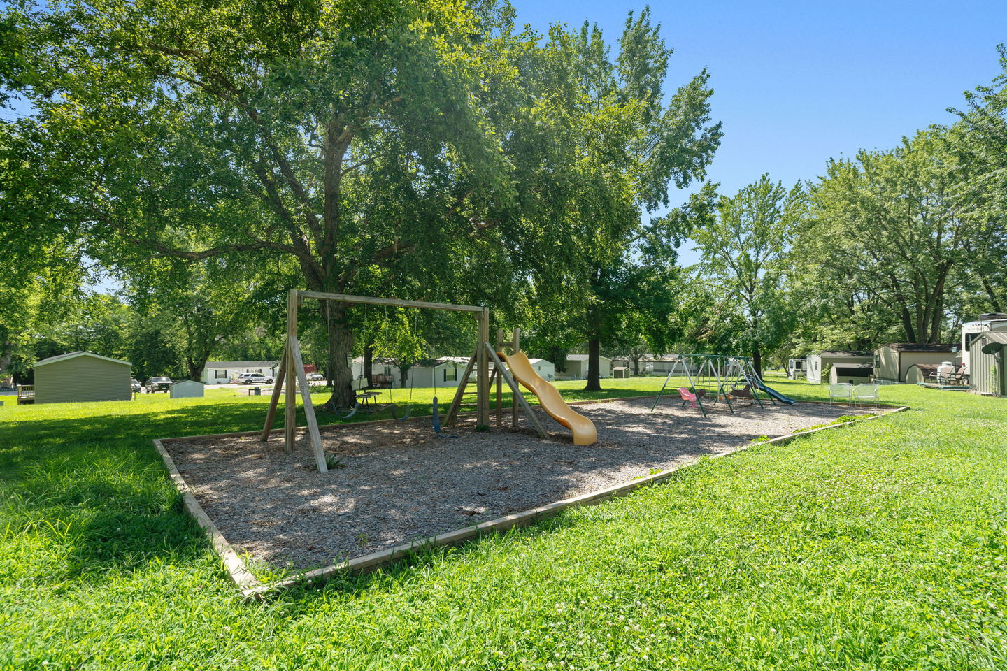 Black Oaks