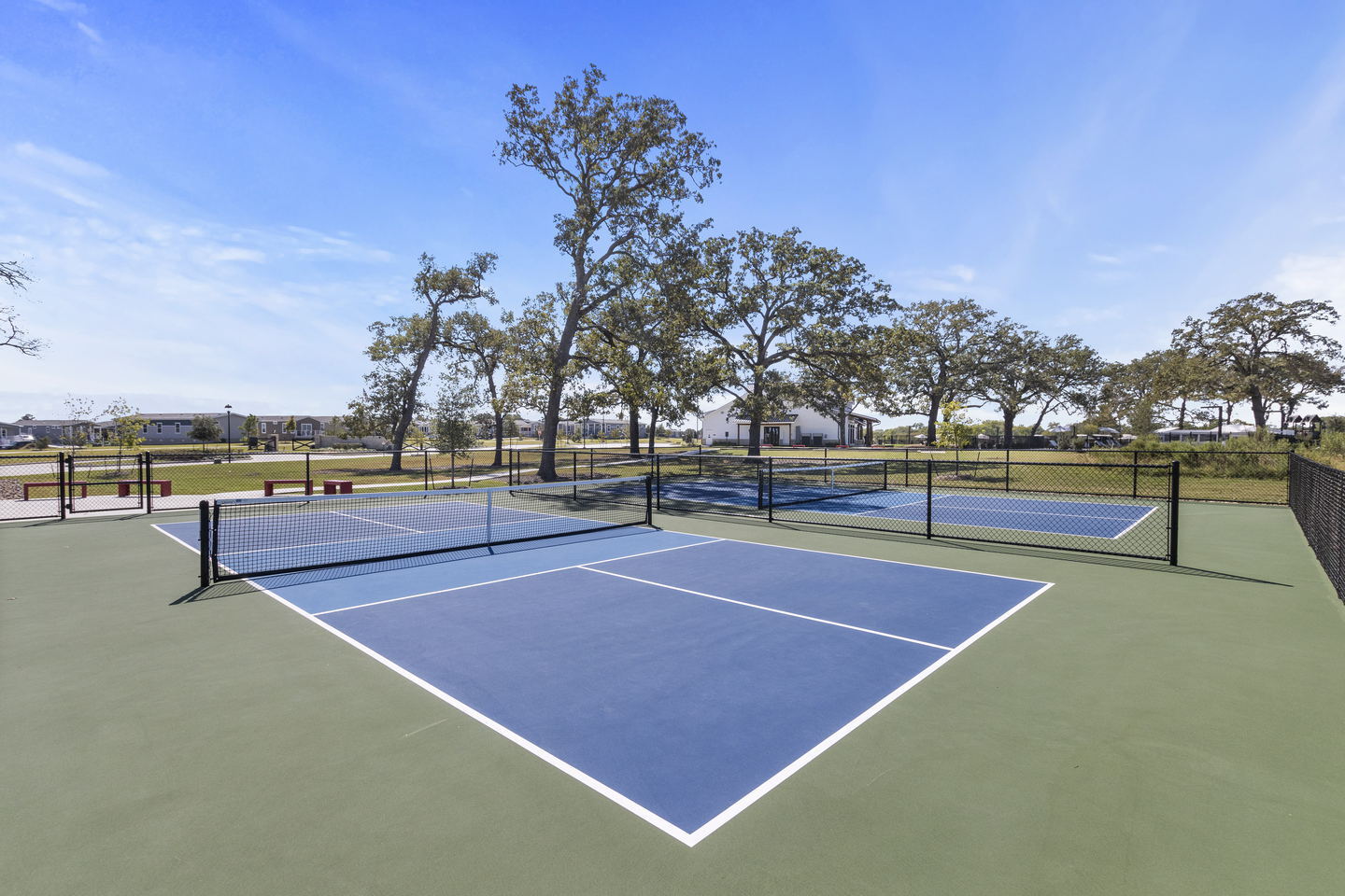 Rockrose Ranch