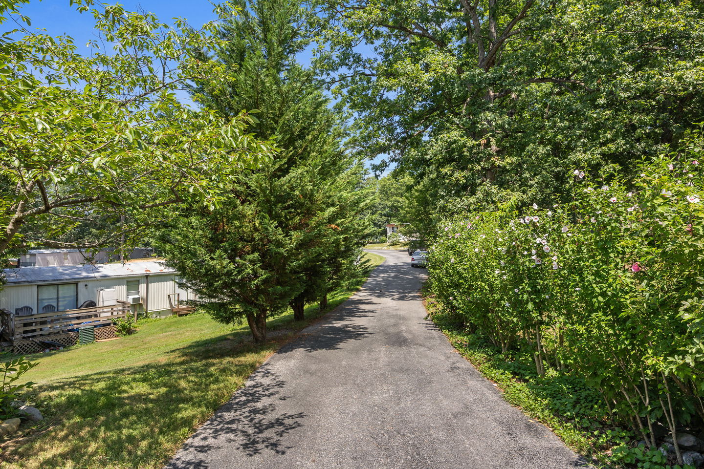 Shenandoah Valley Estates