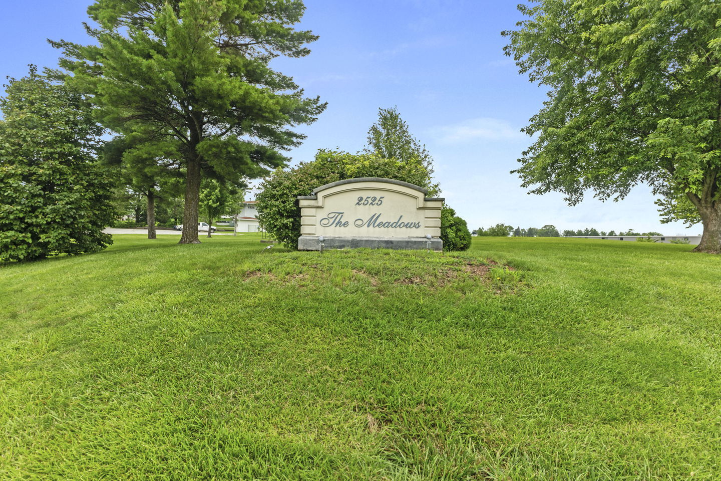 The Meadows