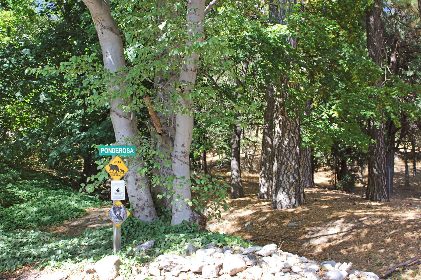 Valley of Enchantment
